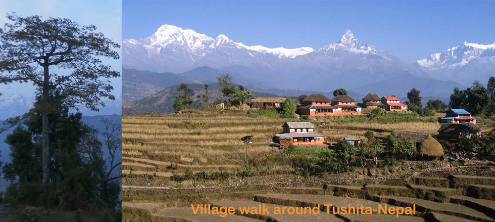 Hotel Tushita Nepal Yoga Retreat Center Pokhara Exterior foto